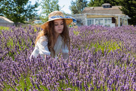 Girl in the lavender fields